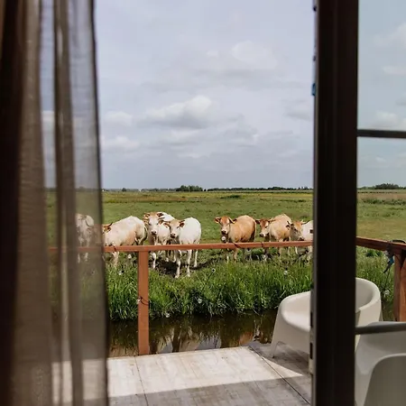 Panzió Vrij Aan De Amstel Tiny House Met Hottub Aan Het Water 3*